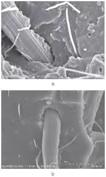 扫描电子显微镜（SEM）